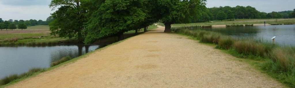 A view of the causeway between the two Pen Ponds in Richmond showing part of both ponds