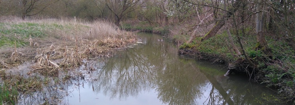 abbey river, chertsey