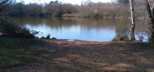 A fishing swim at Tarn Pond in Surrey