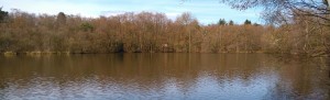 A view of Tarn Pond near Puttenham