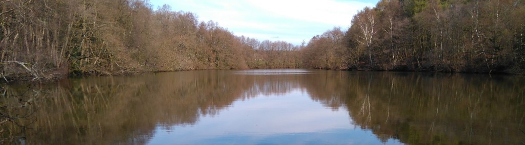 A view across Warren Pond fishery near Puttenham