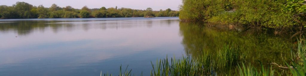 Looking across one of the huge gravel pits that supply coarse angling in Wraysbury on a summer day