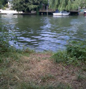 A fishing swim on the Thames near Egham / Staines
