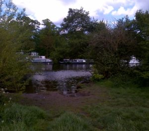 A fishing spot on the Thames at Chertsey Meads.