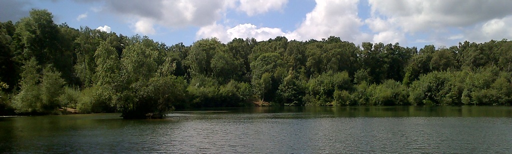 A view across a Surrey carp fishing venue on a summer afternoon.