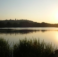 St Annes Hill in Chertsey view across Thorpe Road fishery on a summer evening