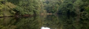 A view across a fishing club venue in early autumn.