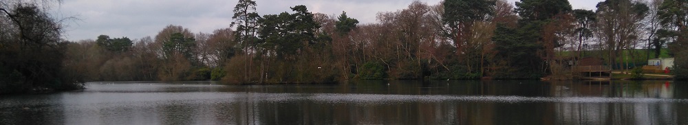 A view of the fishing lake at California Country Park in Berkshire