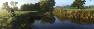 Early morning at an angling spot on the River Mole: Kinnersley Manor.