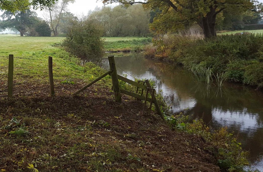 An autumn view of the River Mole fishing venue at Kinnersley Manor.