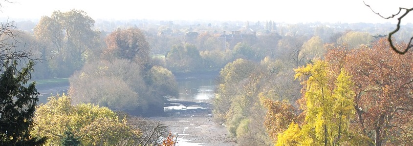 a view across Richmond on a bright autumn day