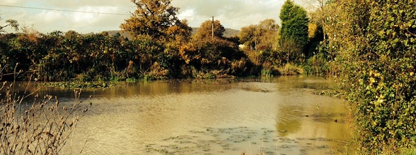 Surrey angling clubs Allaboutangling