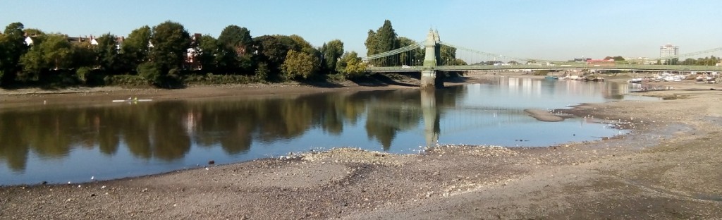 The Thames viewed from Hammersmith, looking across to Castelnau on a sunny autumn day with the tide out