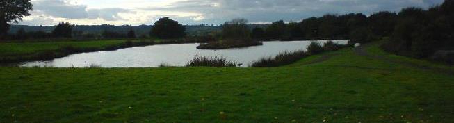A view across the Pittance fishing lake at Willinghurst on a bright autumn afternoon