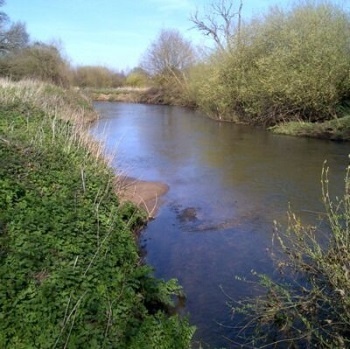 River fishing in Surrey