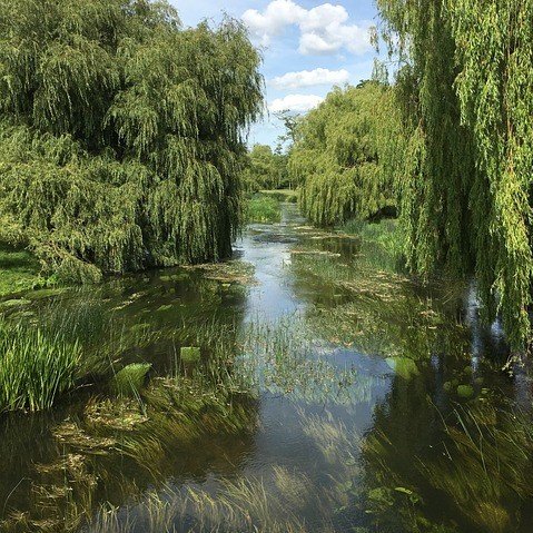 Regulations and guidelines for anglers - Kentish Stour