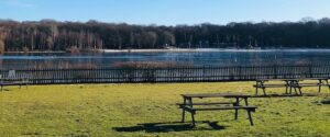 A view across the Ruislip Lido fishing venue on a sunny day
