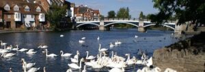 Looking across the Thames at Windsor on a sunny summer day