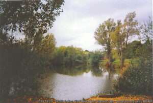 Looking across Club Lake on a cloudy day