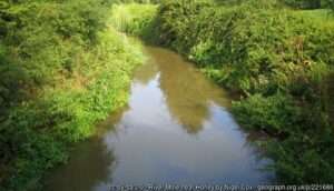 Looking along a stretch of the River Mole angling venue at Horley on a sunny summer day