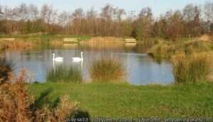 Looking across Victory Lake fishing venue at Sandwich on a sunny autumn day