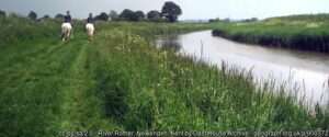 Looking across the River Rother angling venue at Newenden on a summer day