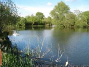 A summer view of an Ashford fishing venue: Singleton Lake