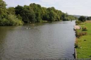 A view of the River Thames fishing venue at Pangbourne on a sunny summer day