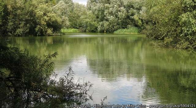 Looking across the Hithermoor Relief Lake fishing venue on a summer day