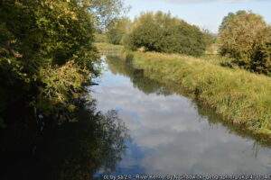 A stretch of the Kennet viewed on a summer day