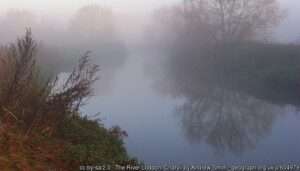 A misty autumn view of the River Loddon Charvil fishing venue