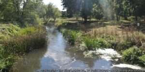 A view of the River Loddon on a summer day south of the Whistley Mill