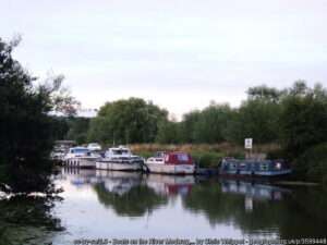 A summer view of the River Medway fishing venue at Wateringbury