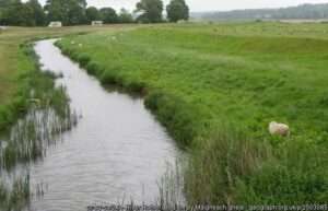 A view across the River Rother Bodiam angling venue on a cloudy summer day