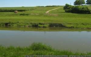 A sunny summer day on the River Rother angling venue near Great Knell Farm