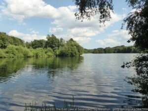 A sunny view across the Sevenoaks Wildlife Reserve lake