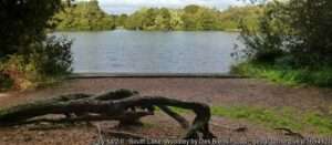 Looking across the South Lake angling venue at Woodley on a sunny day