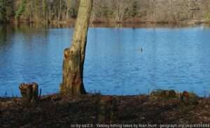 A sunny winter day on the Yateley Pads Lake angling venue