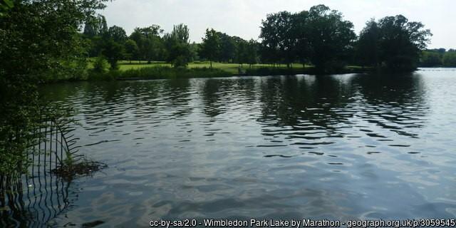 A view across the Wimbledon Park Angling Club fishery in London