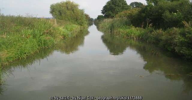 A view of part of the Aylesbury Arm angling venue on a bright summer day