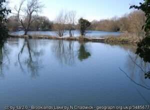 A view of the Brooklands fishery at Dartford on a bright winter day