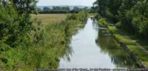 A Buckinghamshire Grand Union Canal angling venue seen on a summer day