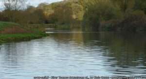 A view of the River Thames Eynsham Downstream angling venue on bright day