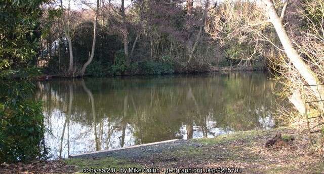 Fishing at Rookery Lake Bromley | Allaboutangling.net