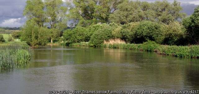 A view across the River Thames angling venue at Farmoor on a summer day