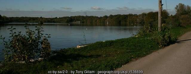 A view across the Hedgecourt Lake angling venue on a sunny summer day