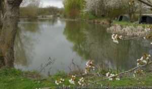 Looking across the Home Pool angling venue at had lakes on a spring day