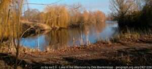 A view across the Orchid Lake angling venue at Dorchester-on-Thames on a sunny winter day