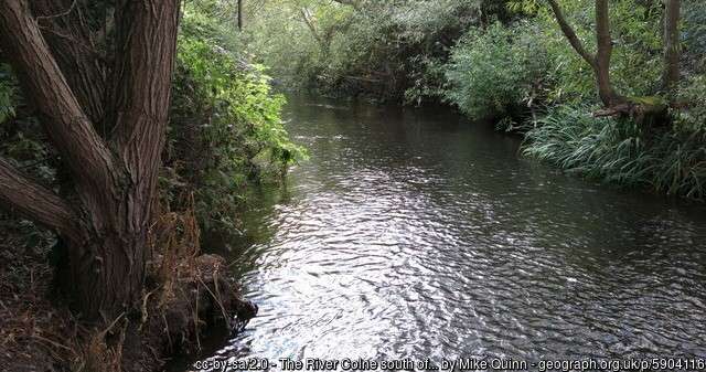 A view of the River Colne angling venue at Hithermoor on a summer day