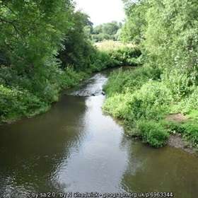 An unrivalled guide to fishing in the Kent River Eden